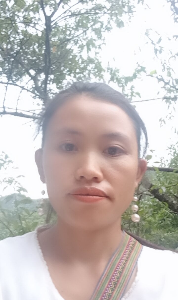 Bembibu