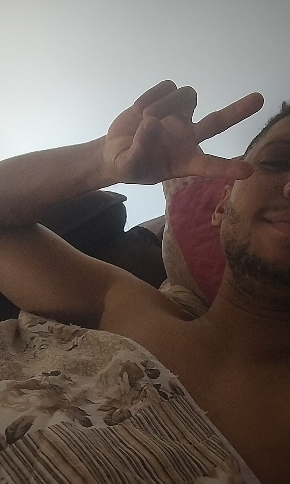 Fredsmm11