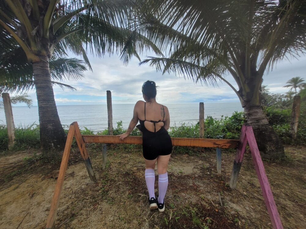 GATITAVIAJERA