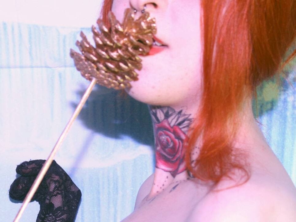 HiddenVixen