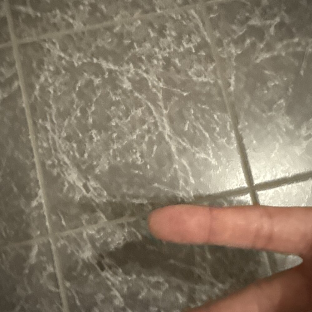 Horny_boy118