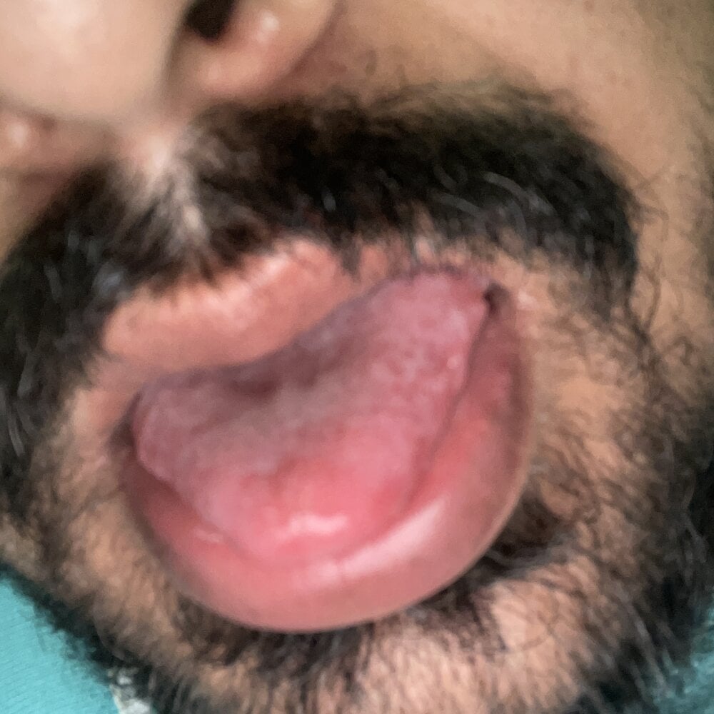 Jaipurbull69