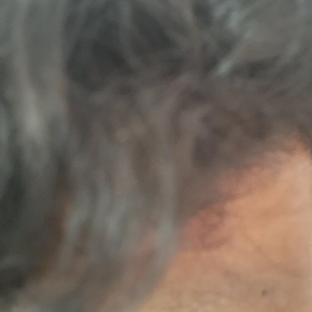 RohitGarg200