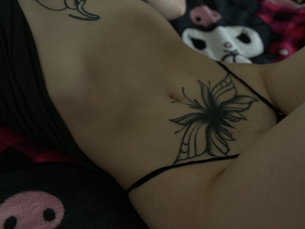 Stella_Curly