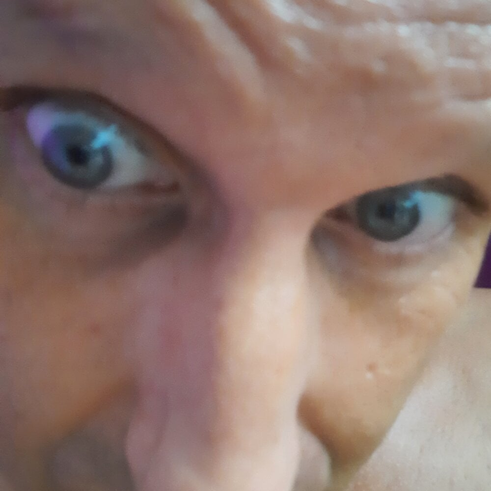 Wilderstier79