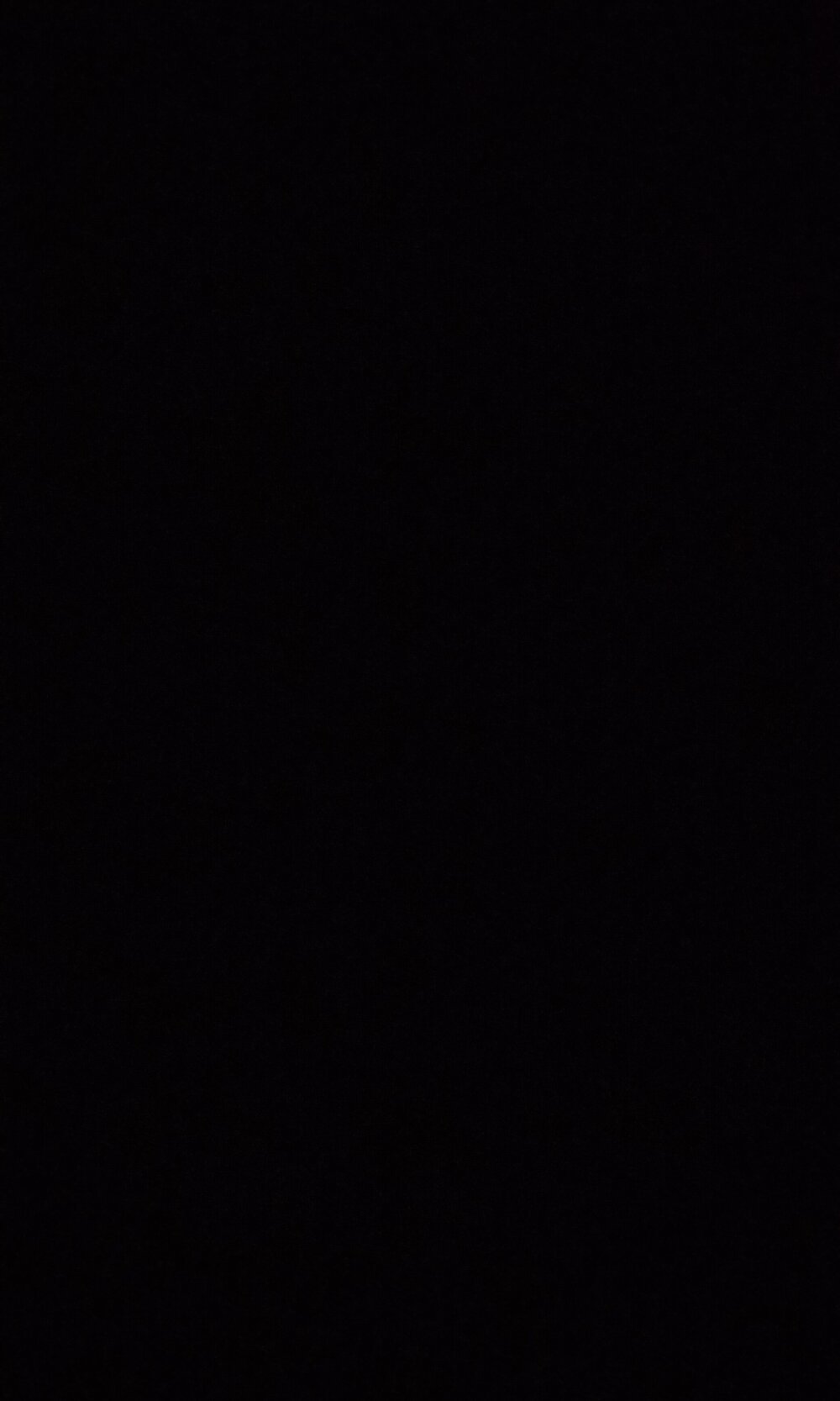 Zepe_12