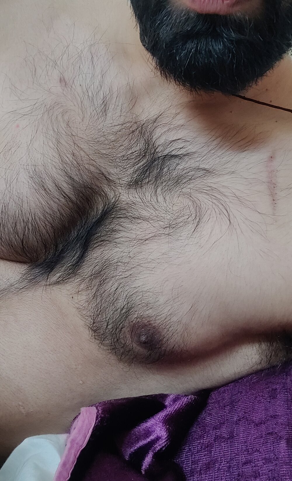 browndick266