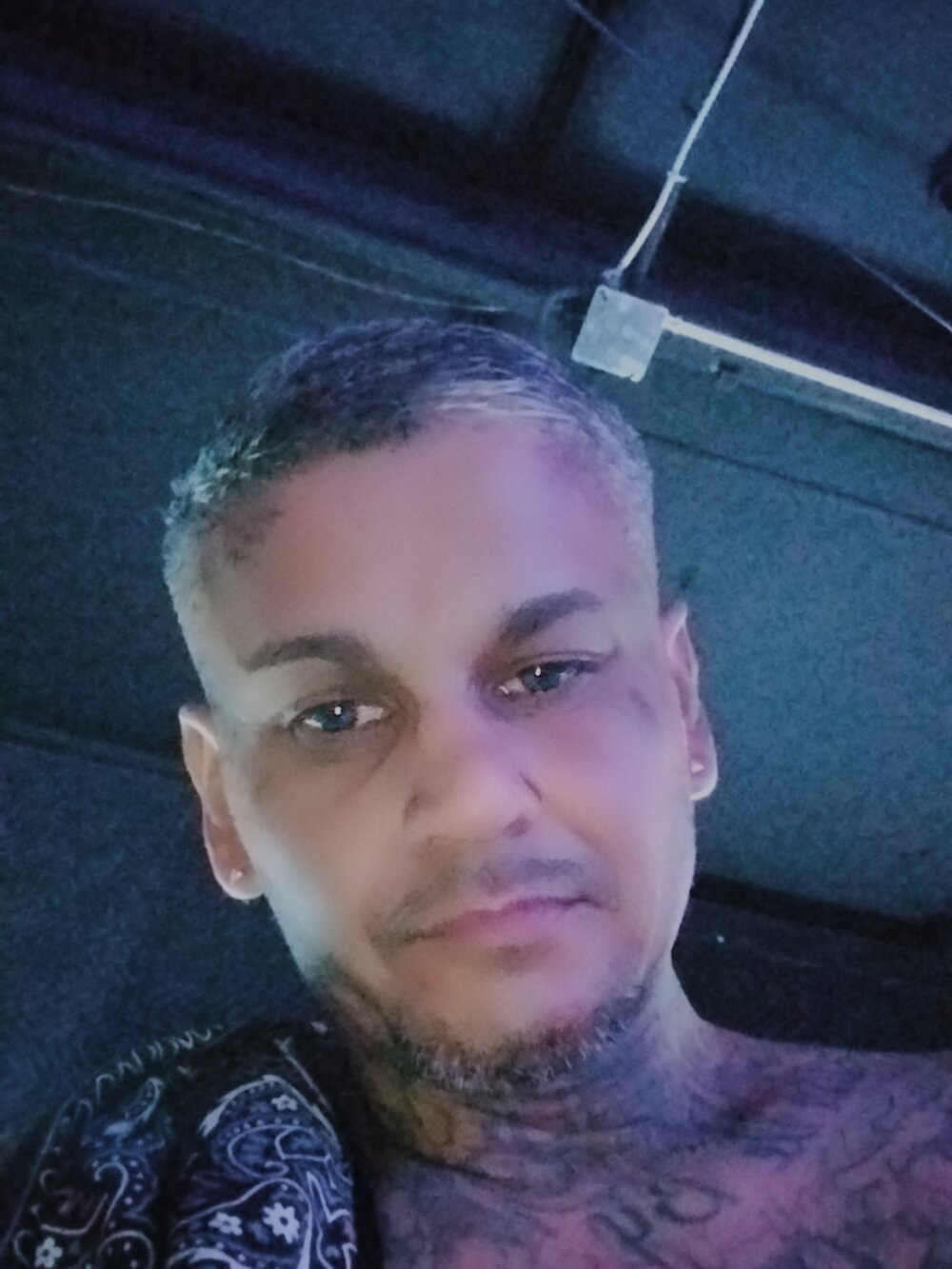 cozydadd