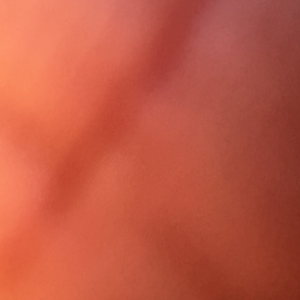 dominationmybigdick