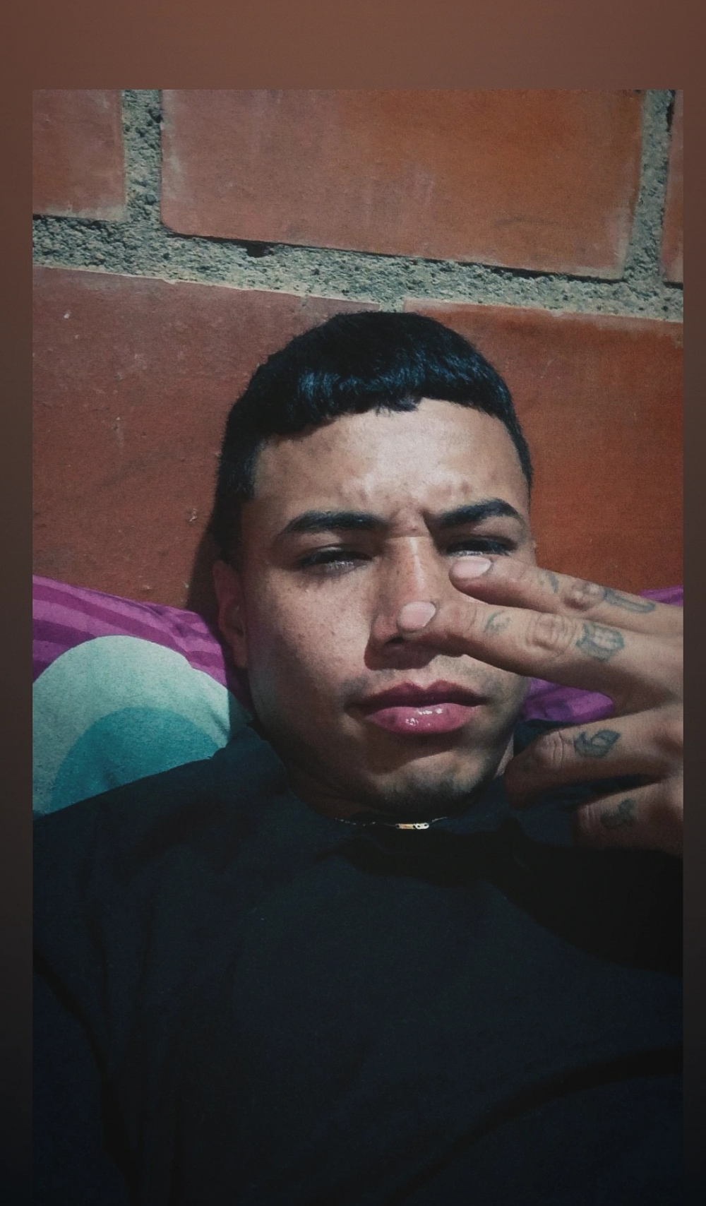 eldelmienbrogrueso