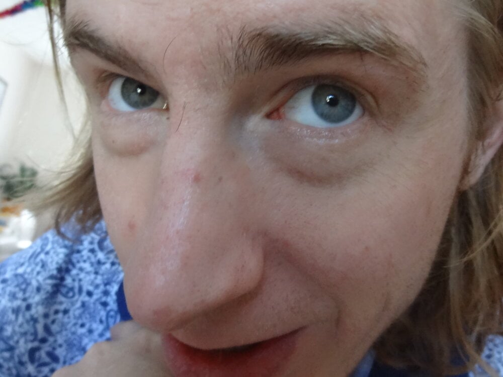 gaydavid
