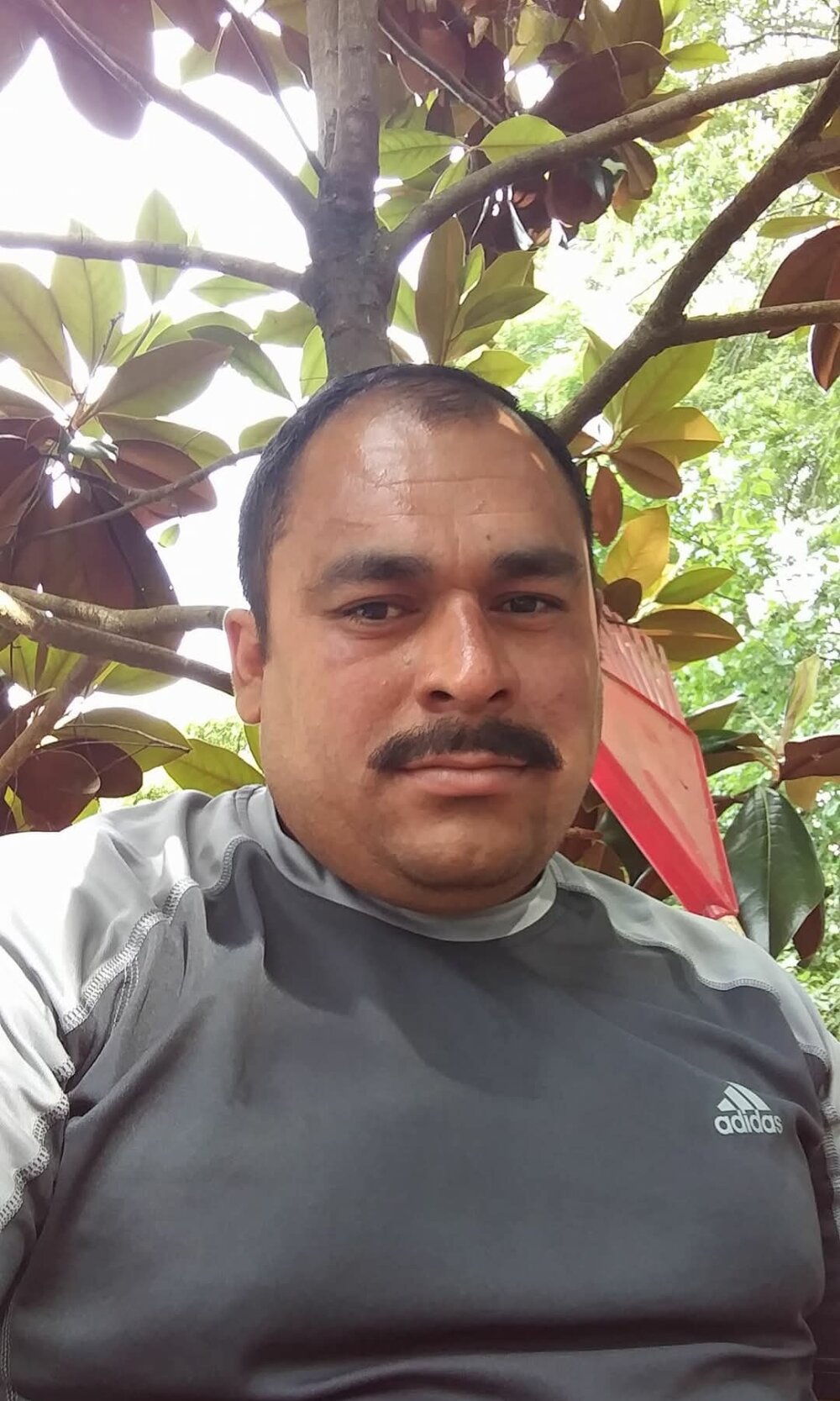 juanseR_