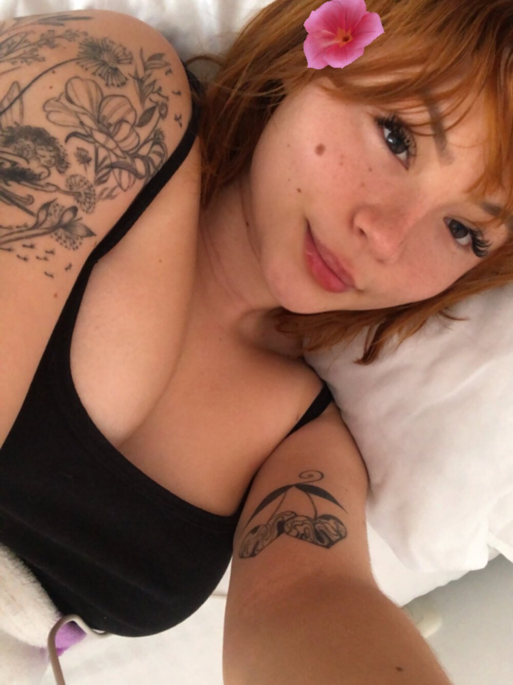karlahush