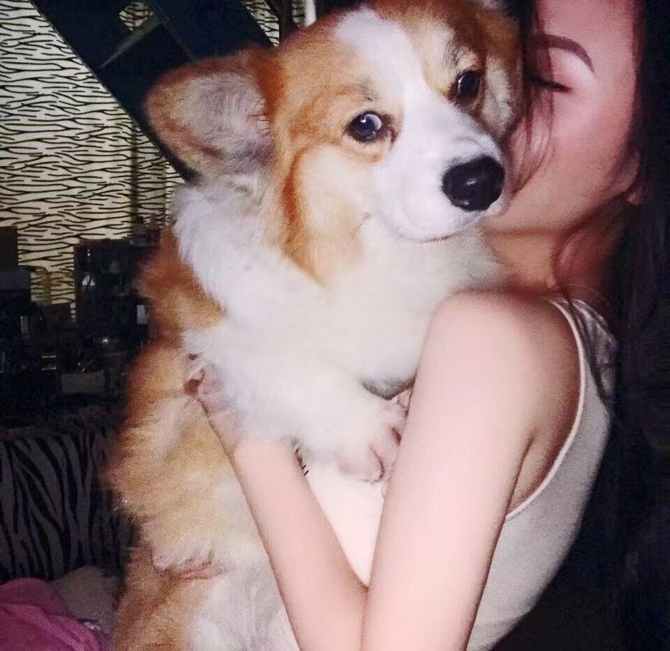 vyizh-