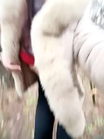 lleisa live cam screenshot female on SexOnline.top – Live Cams, Videos, GIFs & Chat — screenshot #1